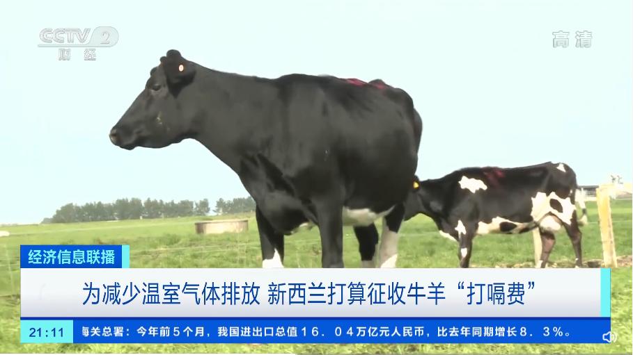 世界首个！牛羊打嗝也要收税？这个国家的做法大有深意