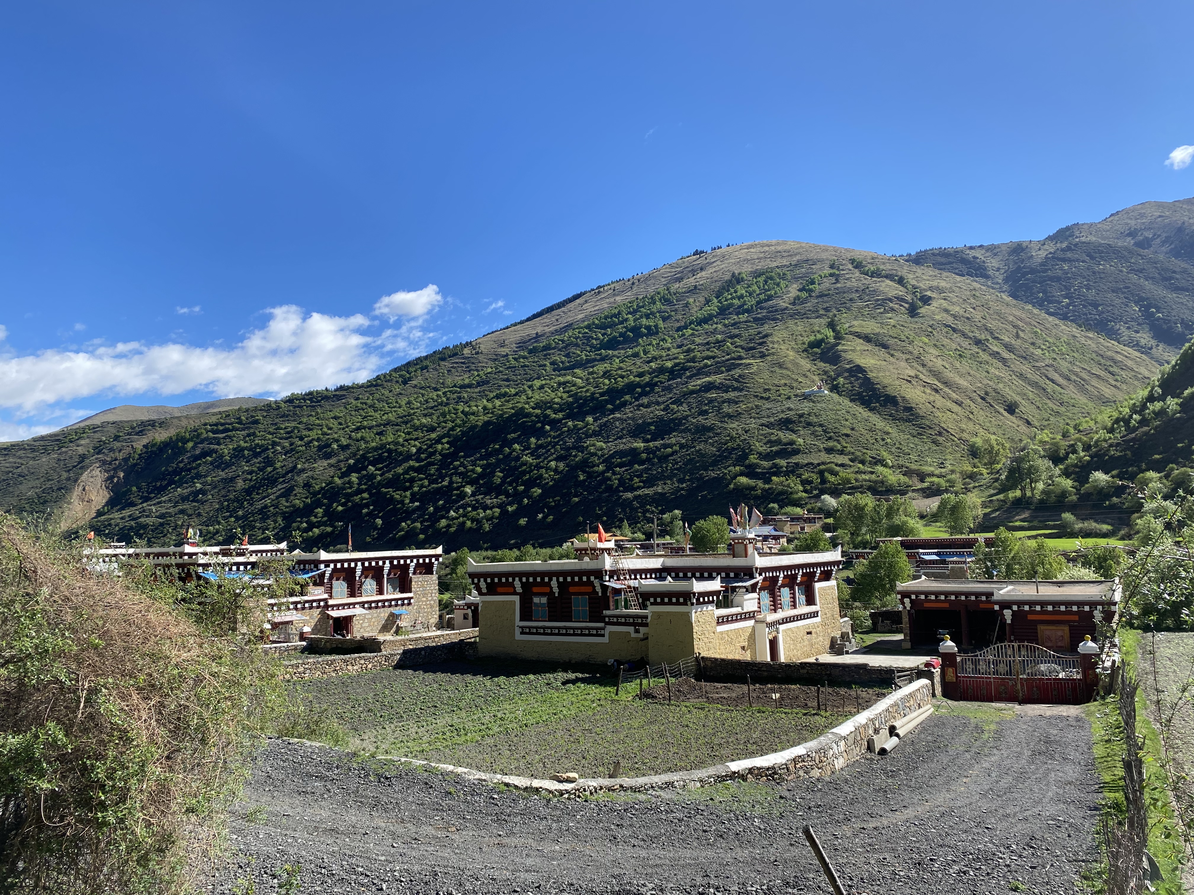 茶马古道上又传来马帮的驼铃声,茶马古道茶叶香