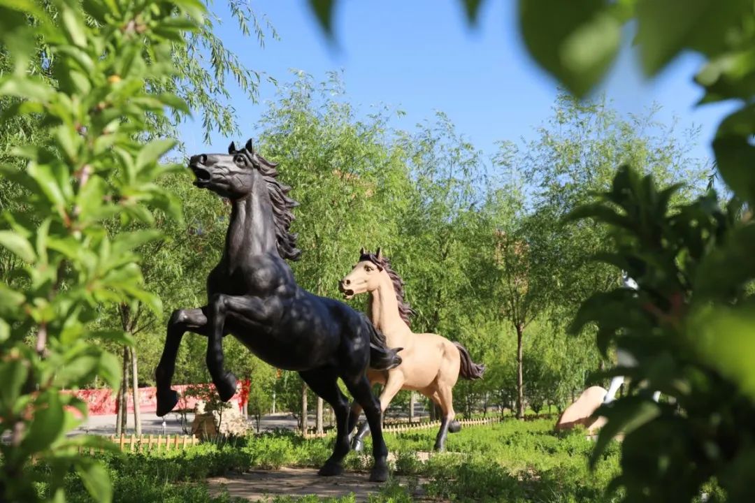 遇见三中邂逅美好