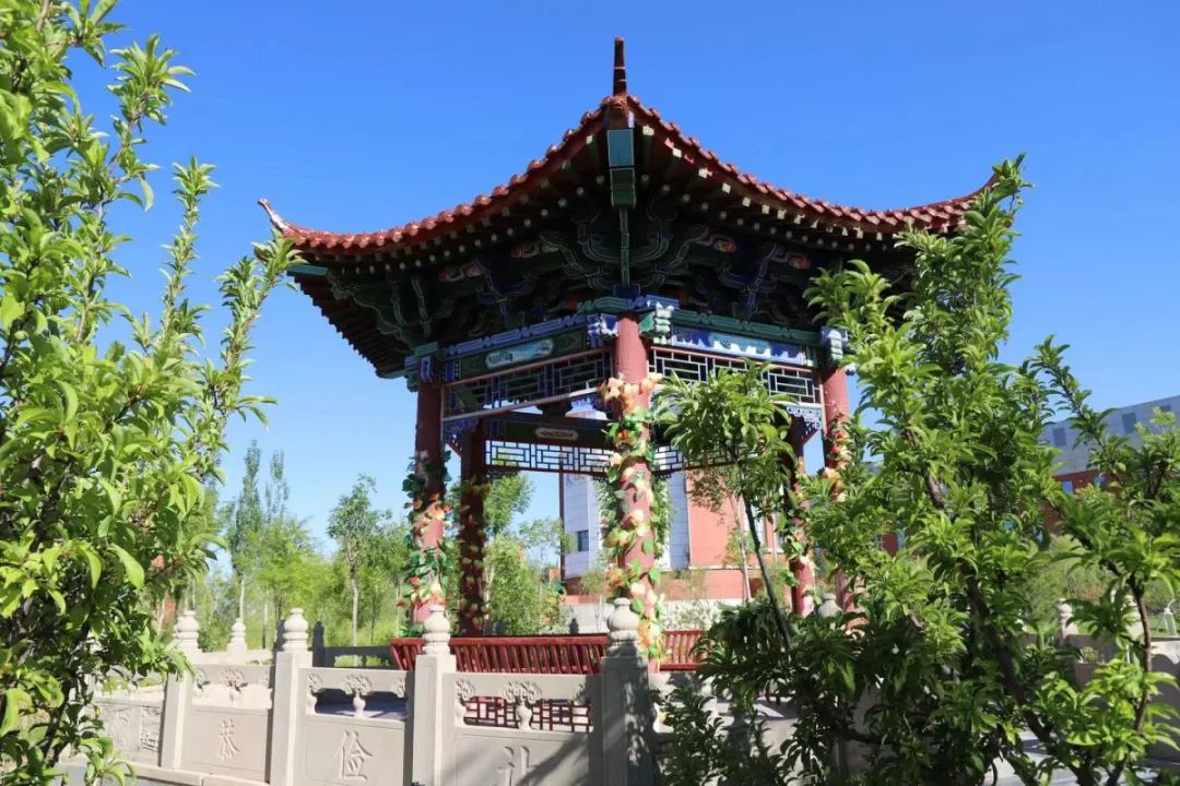 遇见三中邂逅美好