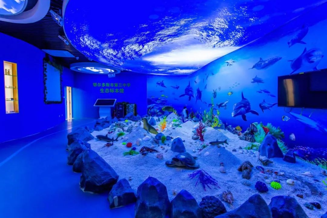 遇见三中邂逅美好