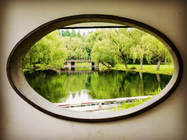 读书|告白与告别,一对父子人生悲欢的编年体