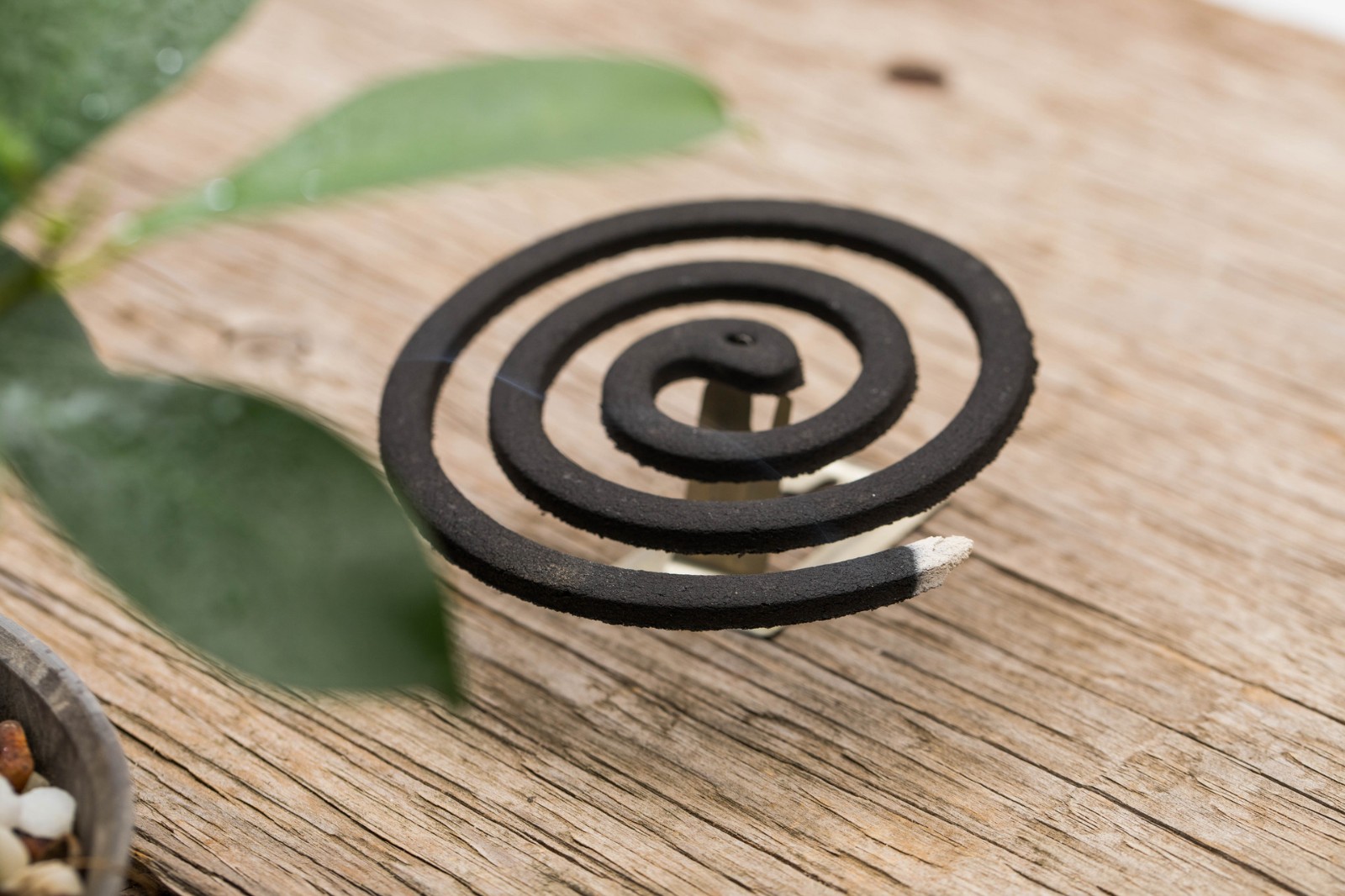 家里蚊子多怎么办3个驱蚊妙招,蚊子虽小隐患很大快看防蚊妙招