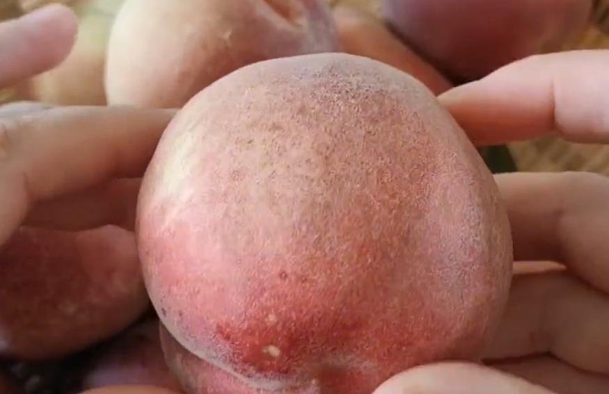 买桃子怎么样选才能让桃子不裂口,买桃子需要注意哪些