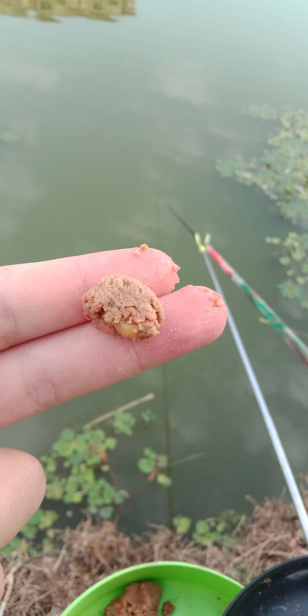 浑身亮甲如新衣，一生靓仔它美气