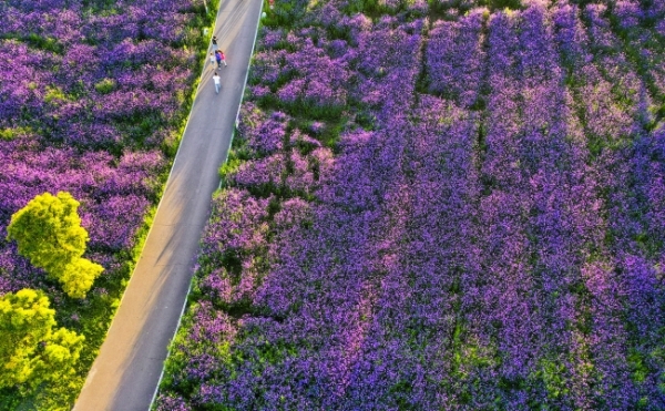 我与贺州共成长,我与农信共成长范文