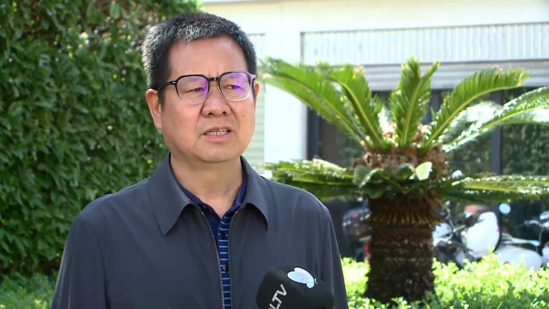 弥渡县城镇规划,弥渡县各乡镇发展规划