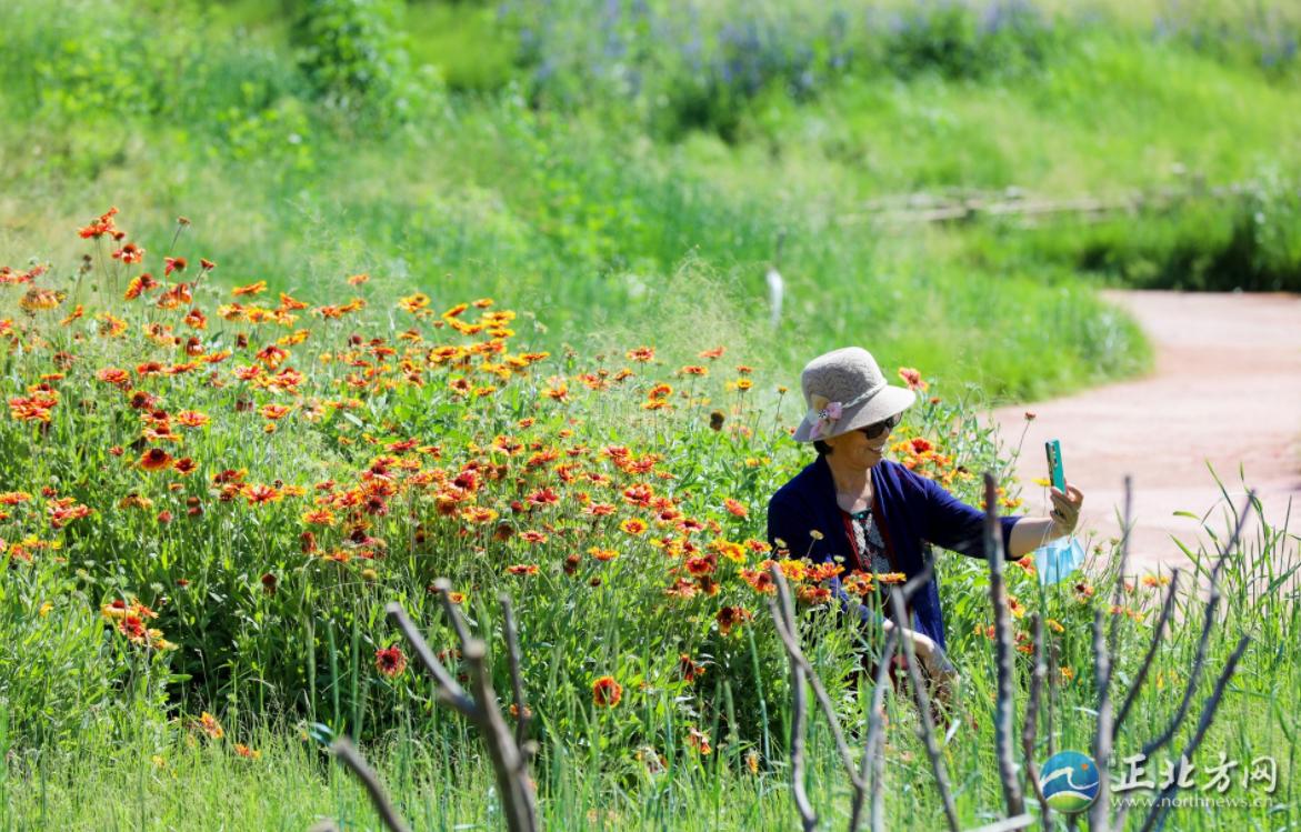 漫步城中,漫步草原美景