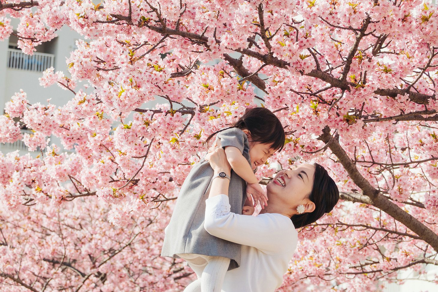 生，还是不生？——日本少子化50年