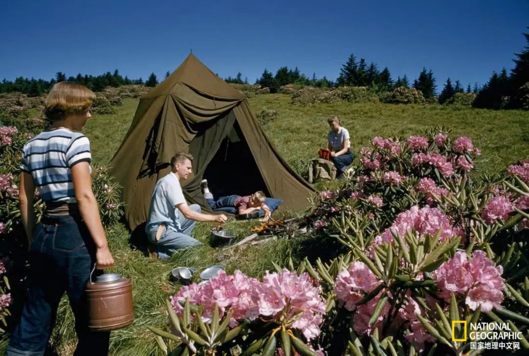 最伟大的作品6张照片,30秒最伟大的作品