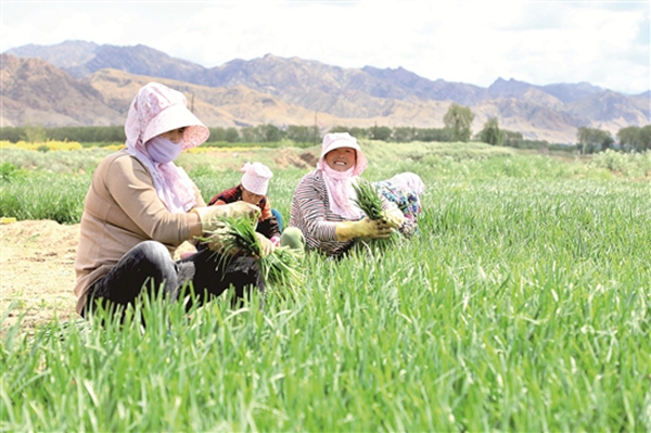 旧城蝶变展新颜,东河老城改造