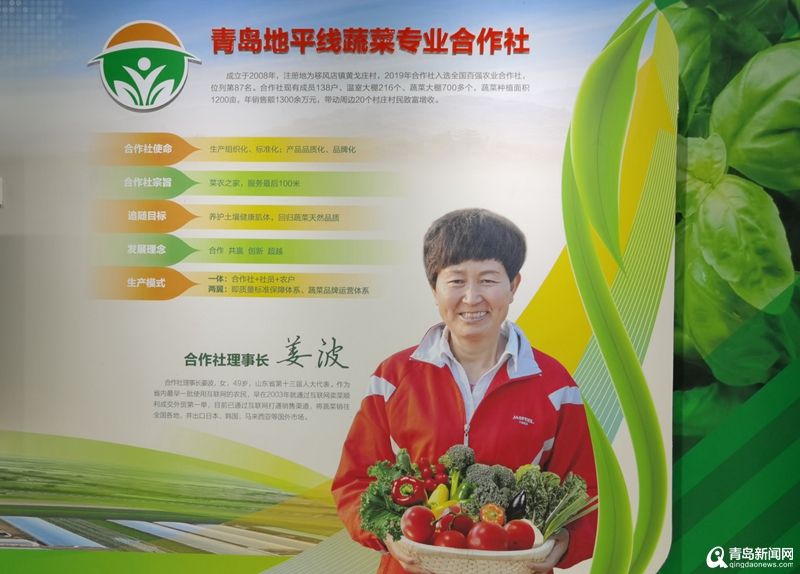 姜大姐农产品,青岛姜大姐农产品