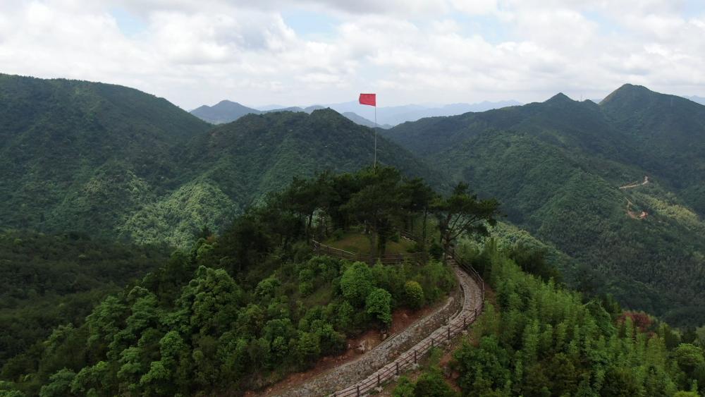 闽东之光｜郑承东：一条路的血色九贝（二）