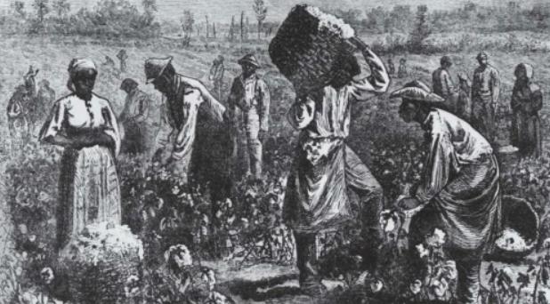 赵立坚请记者科普：什么叫“种族灭绝”