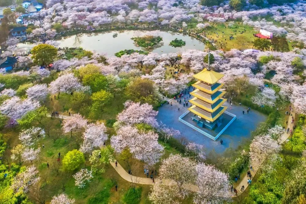 湖北最美四大县城,湖北省最美的风景区排前15名