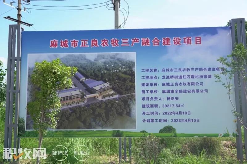 大音盛晏合作社：持续推进“种养产销”一体化产业链建设，蛋品深加工车间已开始建设