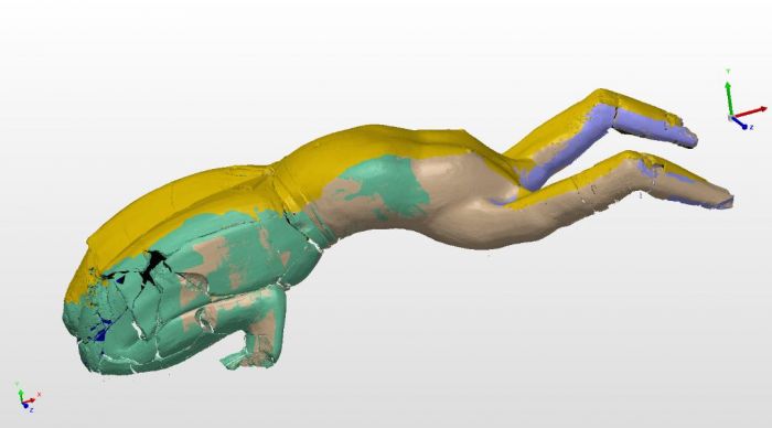 秦始皇帝陵公布罕见仰俑,秦始皇帝陵考古新发现