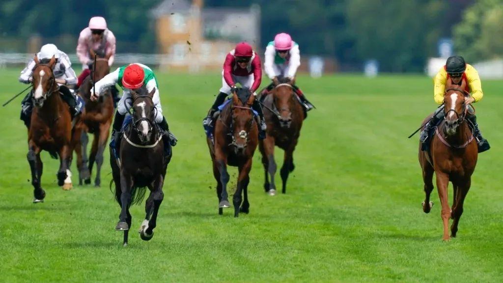 香港赛马“不歇暑”，“致胜一击”爆大冷夺冠