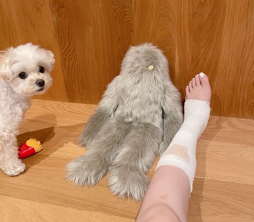 女演员意外出血痛苦,女歌手意外受伤身亡