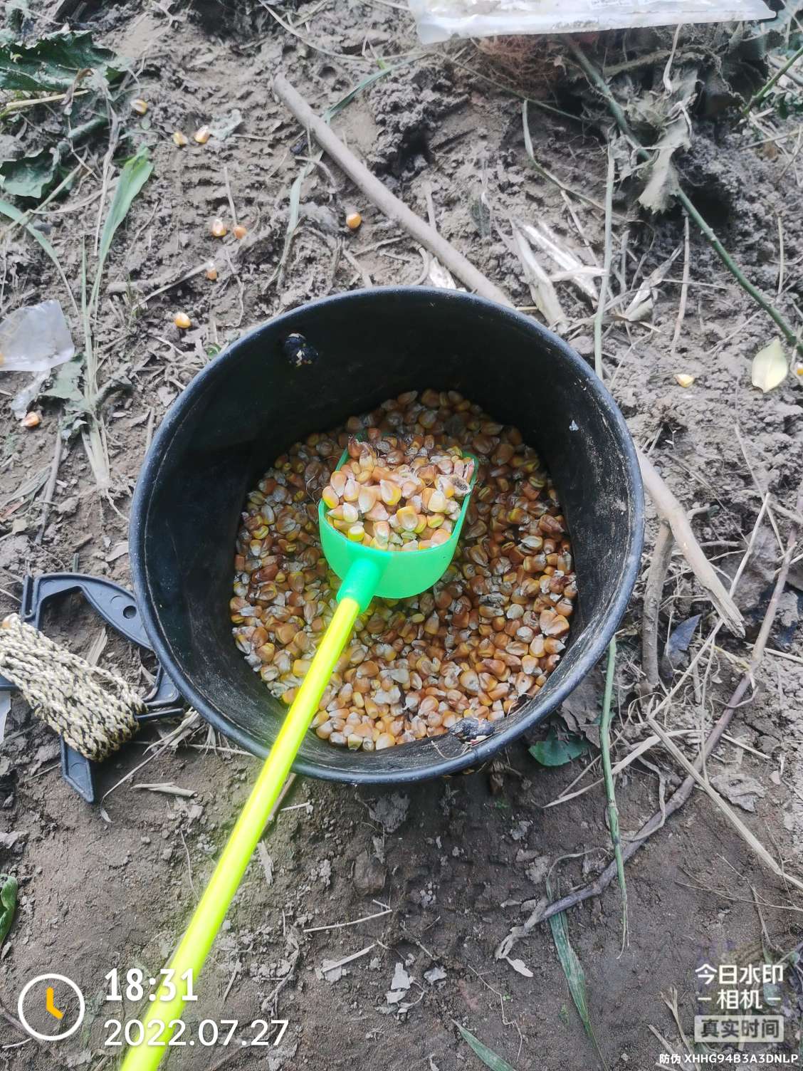 「七月鱼获」骗最憨的巨草！上最憨的洋当