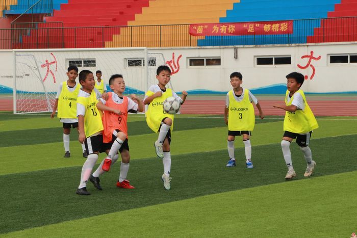 传承体育精神共享羽球魅力,足球文化节夏令营
