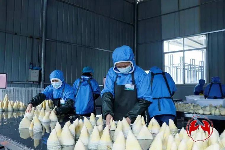 观察丨“青山”可*款贷**变现为“金山”，这个县在全省作出了探索