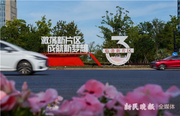 独家述评创业项目,独家述评红色起点