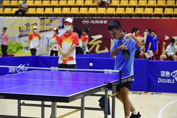 用自强不息诠释奥林匹克精神——怀化市第三届残疾人运动会掠影