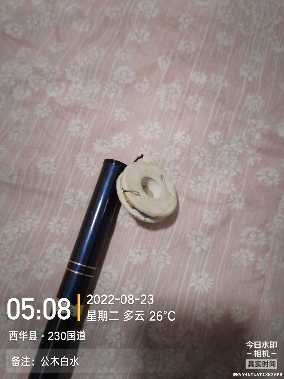 8月里面的鱼怎么钓,钓位选什么鱼最好