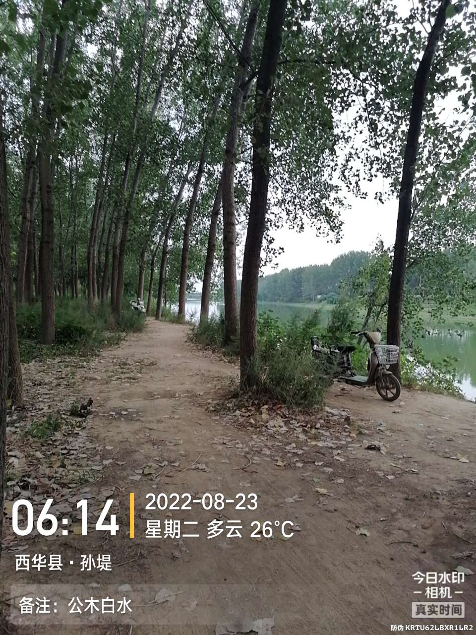 8月里面的鱼怎么钓,钓位选什么鱼最好