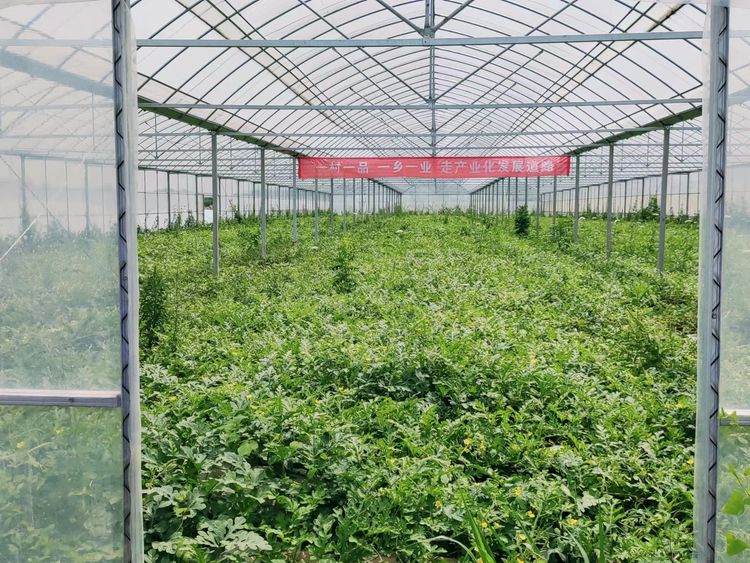 中国建设银行九江市分行,中国建设银行江西省分行总部