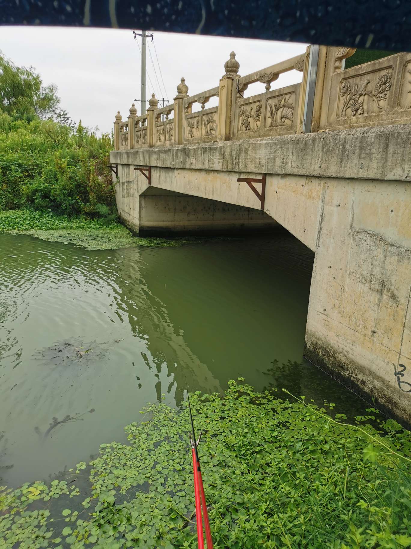 「浮钓2095」2095初显成效！野钓、黑坑果然通杀