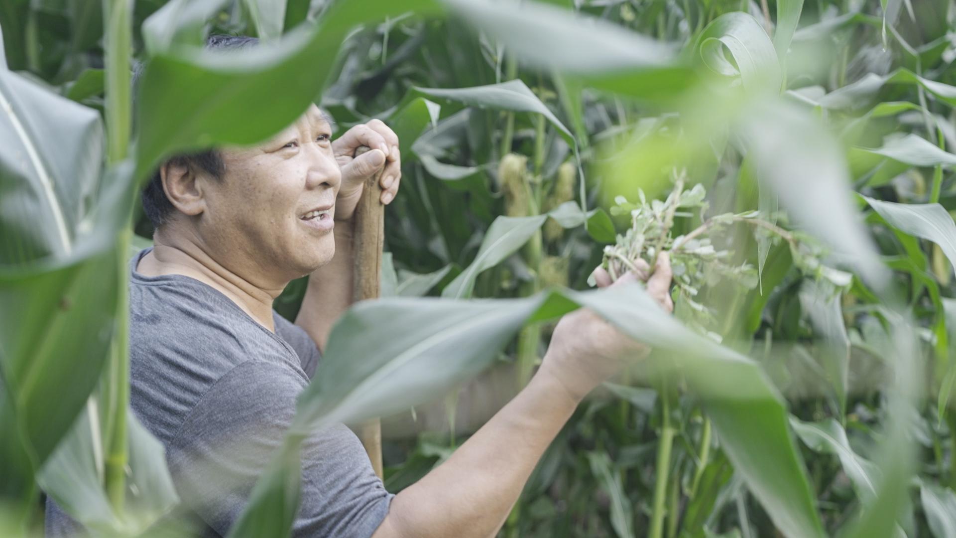 中国赤脚医生到家庭医生的变迁,从赤脚医生到家庭医生的变迁