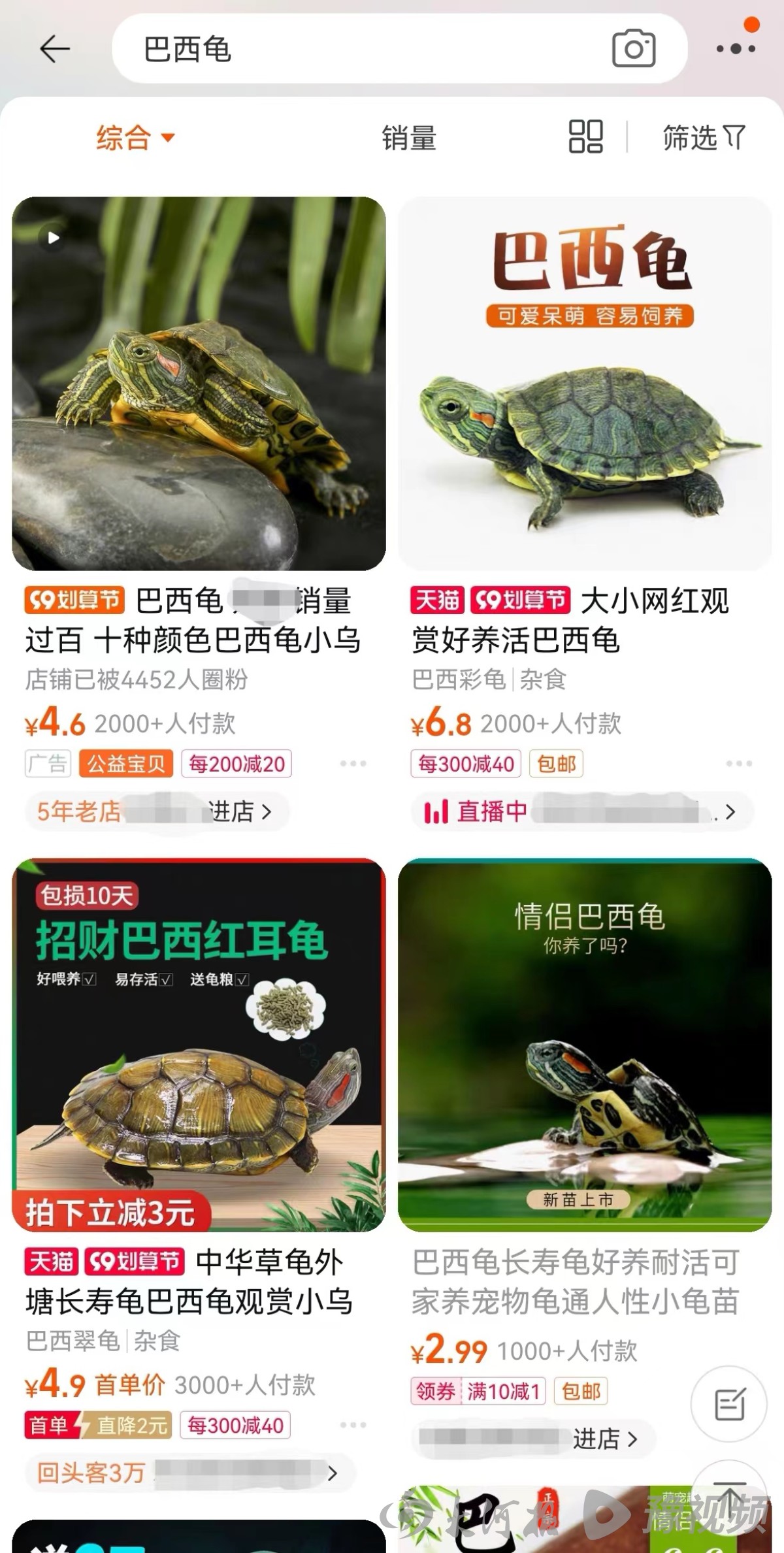 鳄雀鳝的秘密,鳄雀鳝快递视频