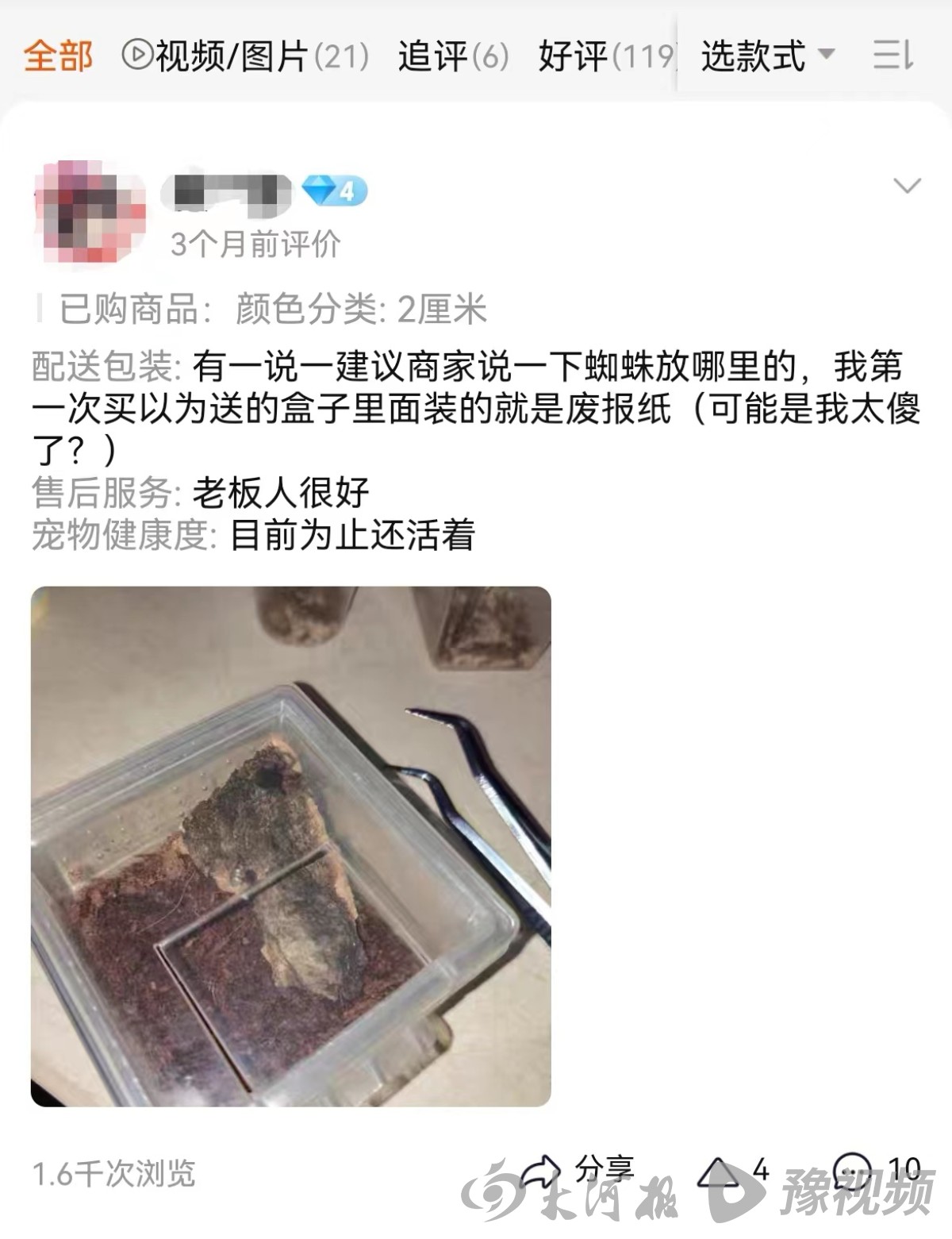 鳄雀鳝的秘密,鳄雀鳝快递视频