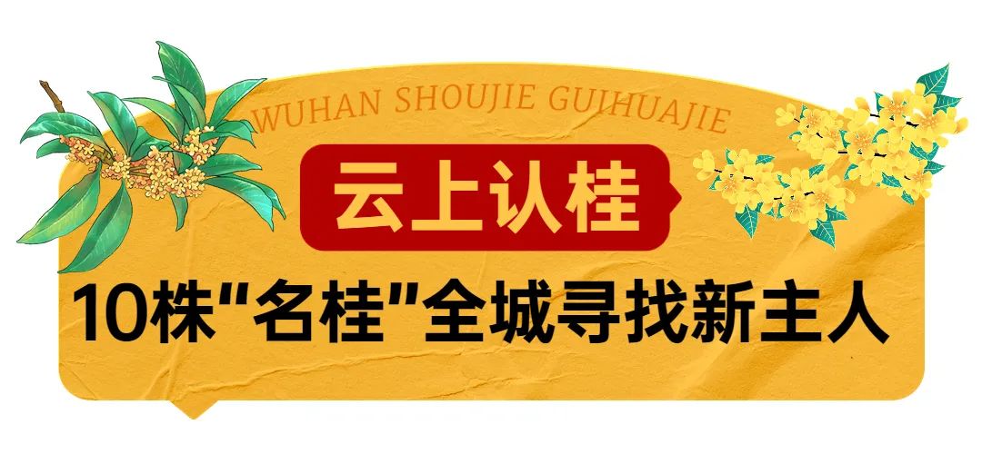 武汉花博汇花展,武汉花展最新消息