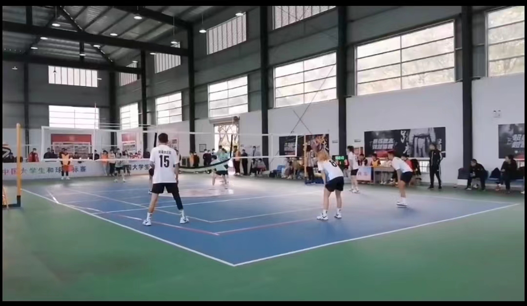 韫撮灎vs鎺掔悆,姘戞棌浼犵粺浣撹偛韫寸悆