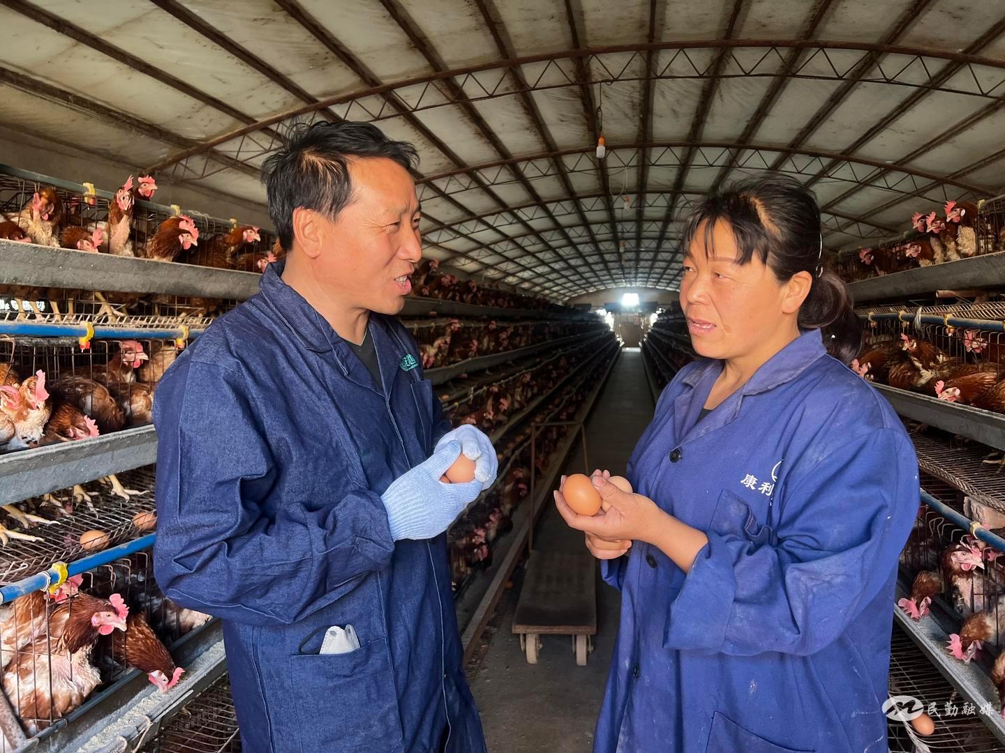 介绍养殖致富带头人的典型案例,养殖业发家致富带头人