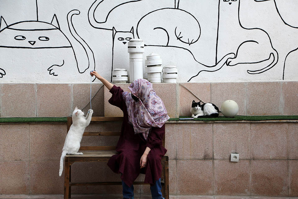 遛狗现在有明文规定吗,遛狗管制