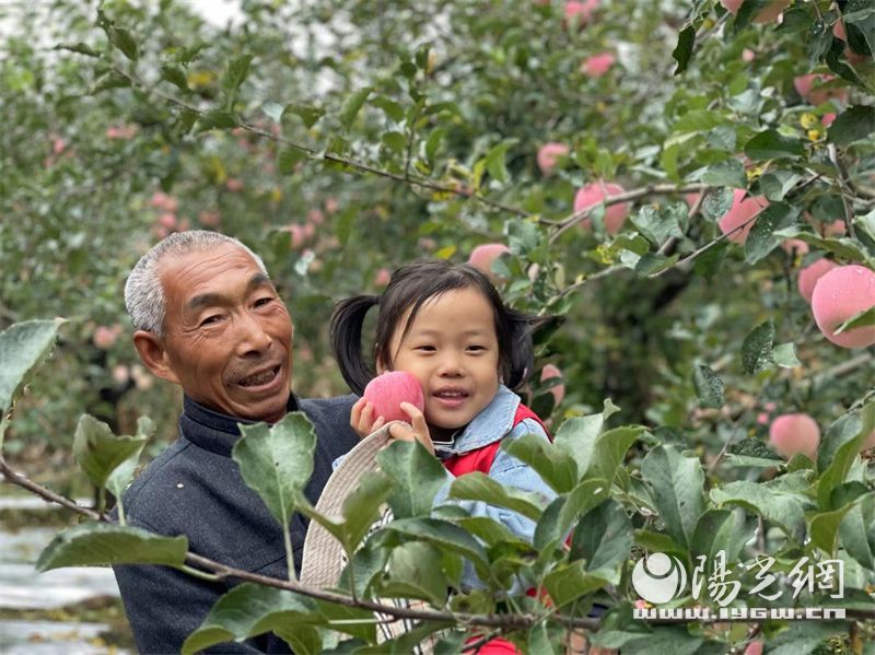 童心幼儿园开展重阳节活动,新时代幼儿园重阳节活动圆满成功