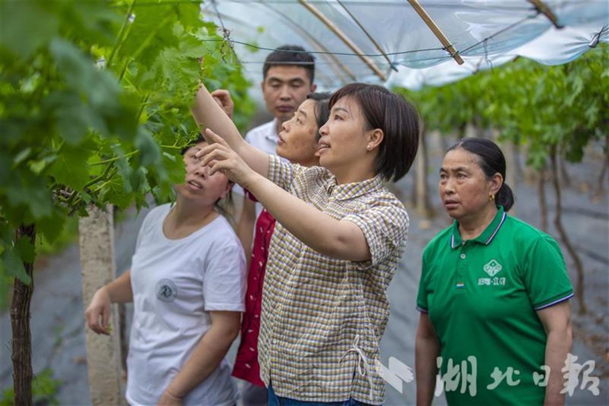 来凤县向辉,恩施来凤县向辉