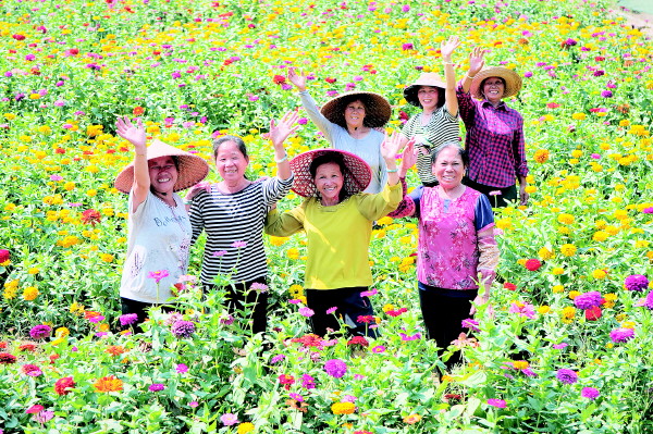 田心村村民骆玉萍:家门口创业,生活像花儿一样美