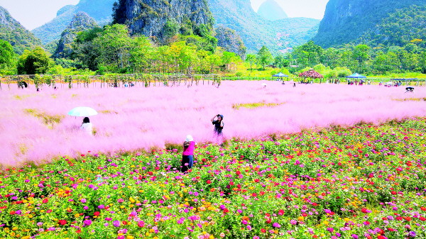 田心村村民骆玉萍:家门口创业,生活像花儿一样美