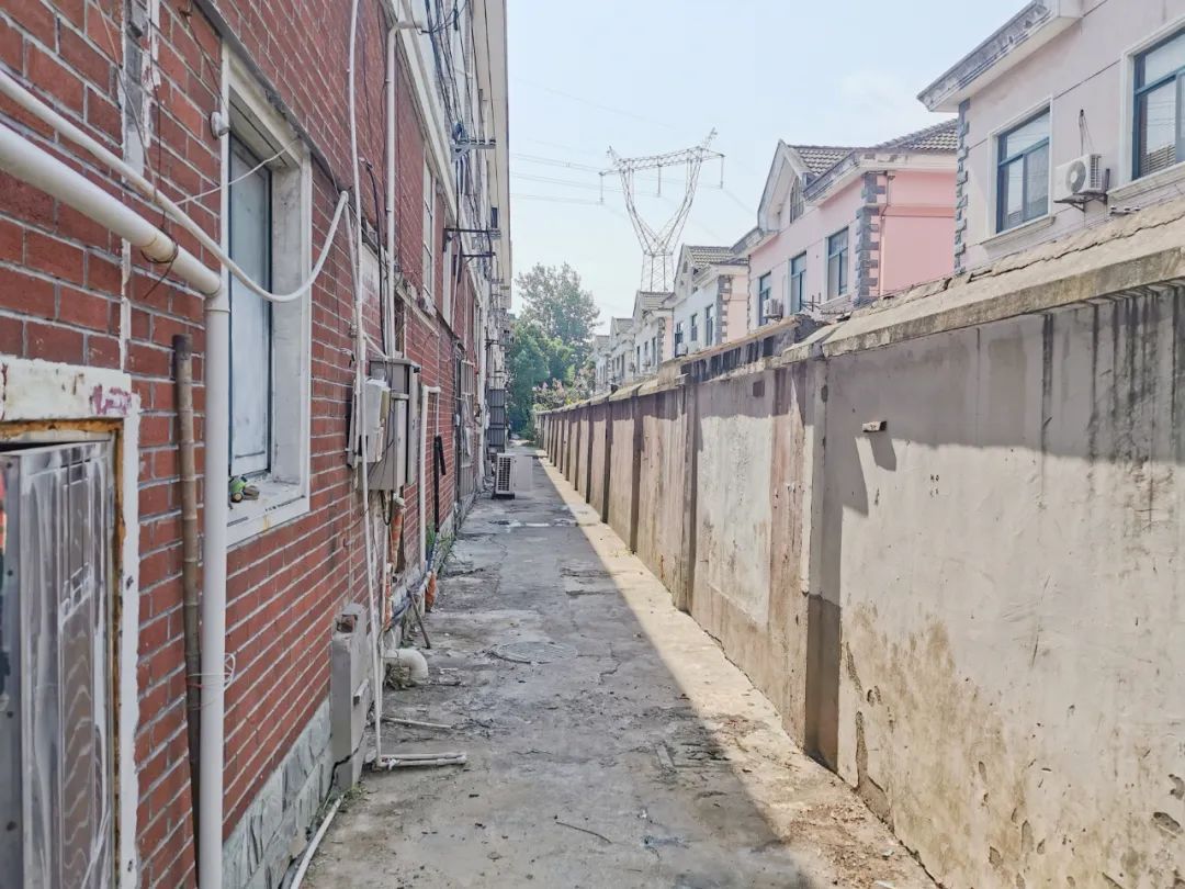 完成进博会服务保障工作,提升进博会服务保障