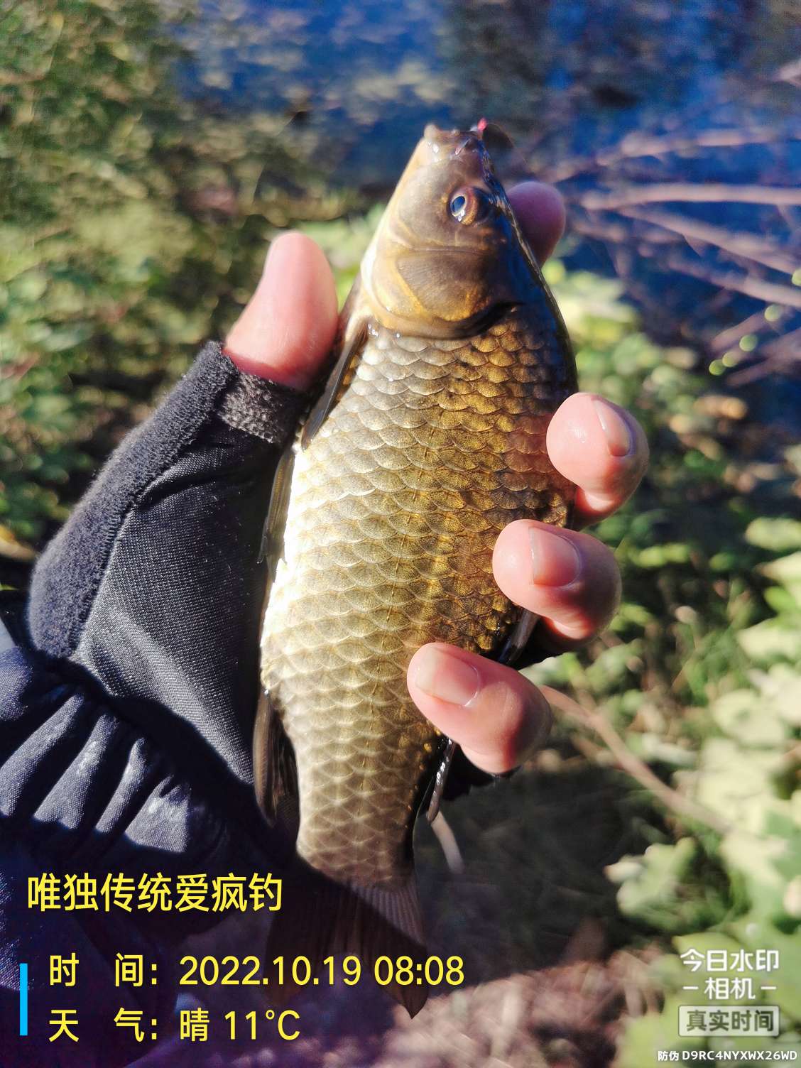 传统钓有风浪,传统钓线组如何应对风浪