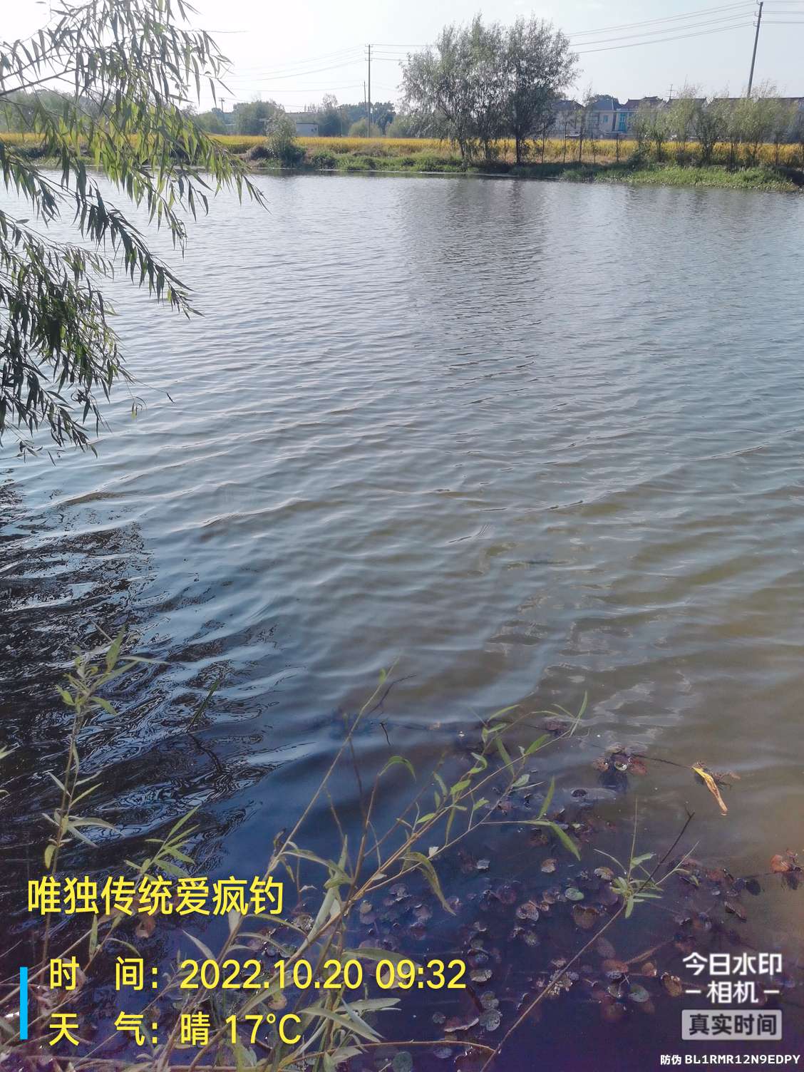 传统钓有风浪,传统钓线组如何应对风浪