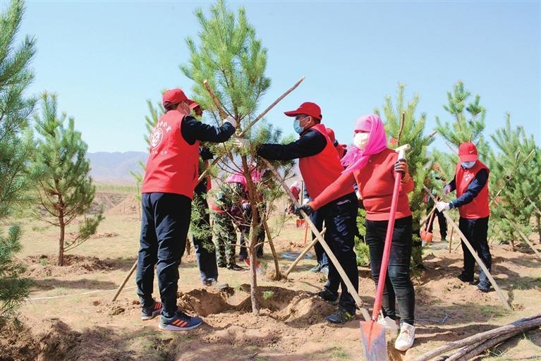 武威走生态优先绿色发展之路,武威市树牢生态发展理念