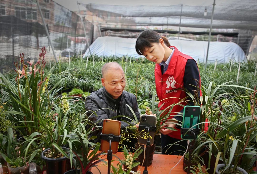 非凡十年看泸酒巨变,非凡十年出彩