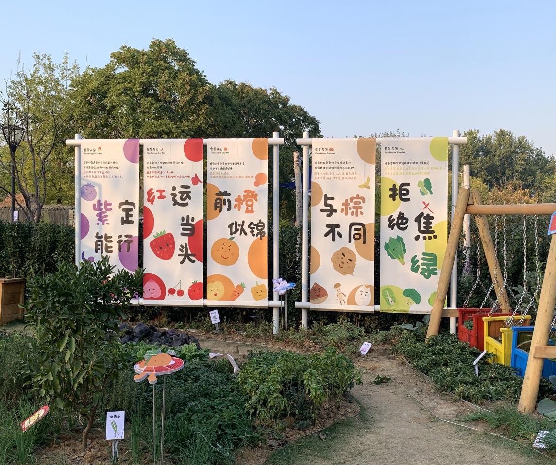 沙湖户外遛娃攻略一日游,沙湖带娃怎么玩便宜又好玩