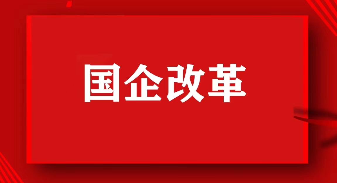 河南能源化工集团改革方案,河南能源改革重生方案